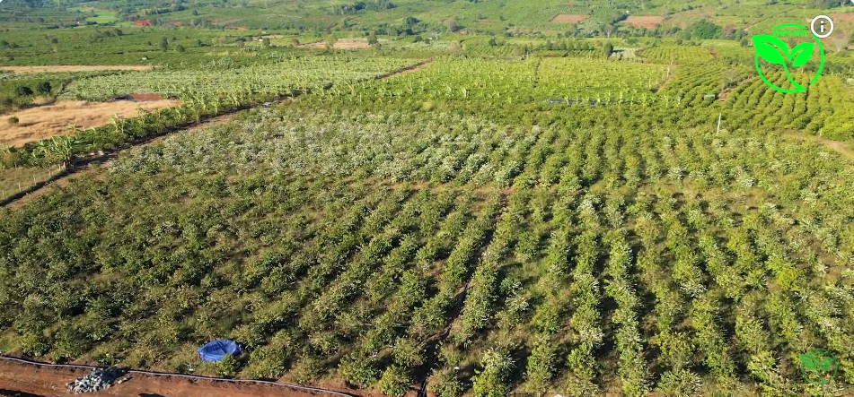 chon bec tuoi luu luong thap